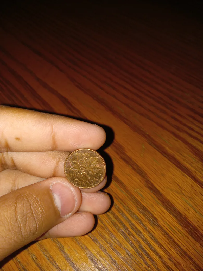 Canadian Coins image indicator(8)