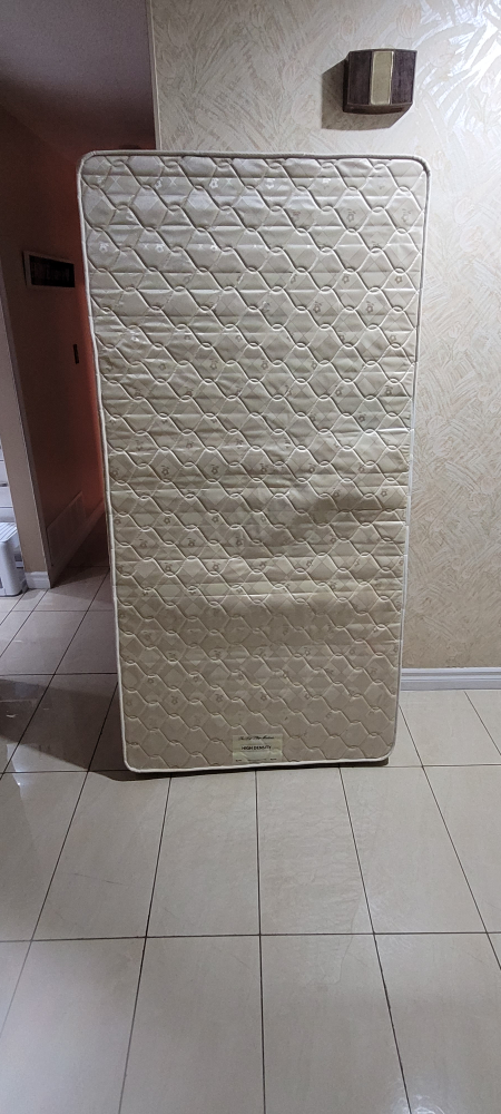 Used Twin Size Mattress (adult owned)