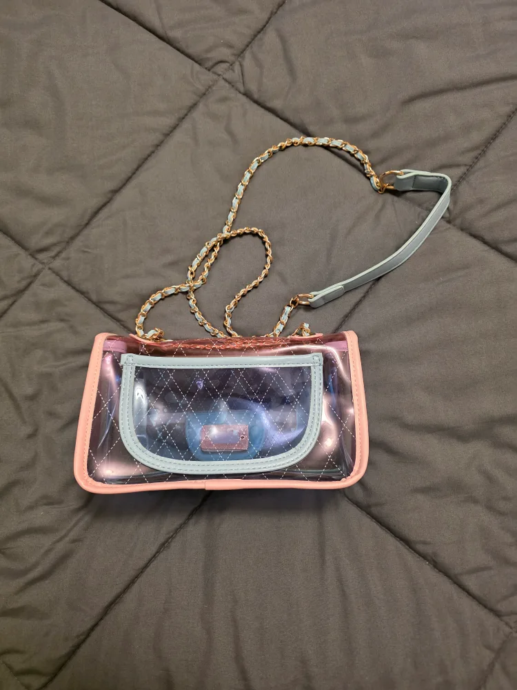 Saks Fifth Avenue Bag/Clear Bag/Beaded Bag image indicator(3)