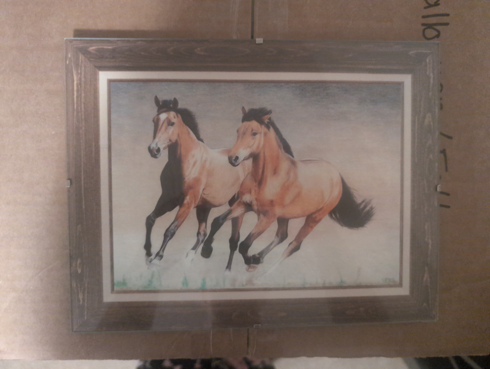 Framed Horse Print