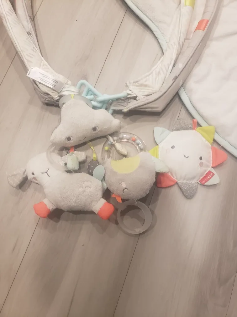 Skip Hop Activity Gym image indicator(3)