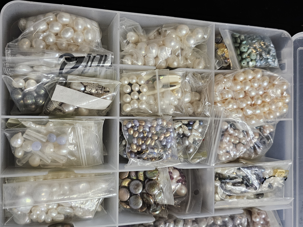 Pearl Beads Collection in Double Sided Storage Case - photo 4