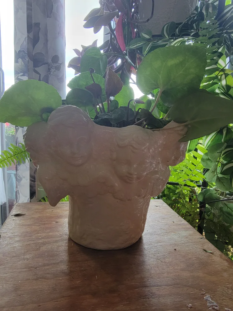 Angel Face Ceramic Planter image indicator(2)