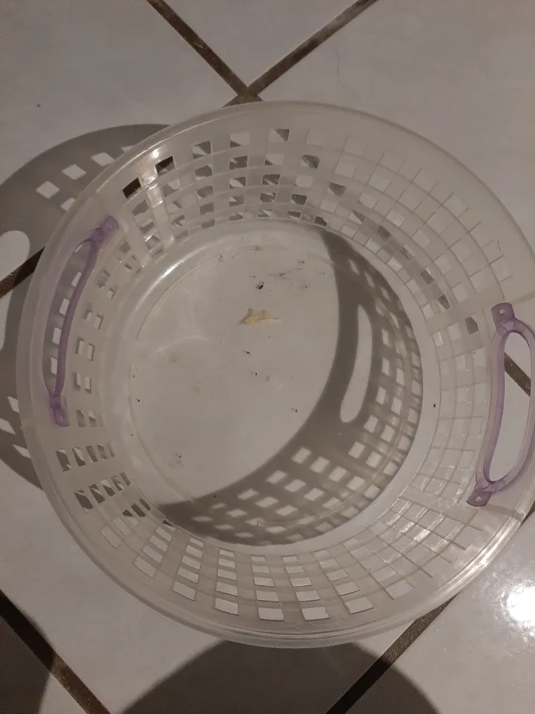 FREE Plastic Container image indicator(2)