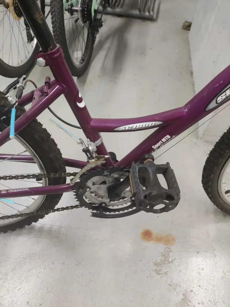 Purple Bicycle with all assessories image indicator(6)