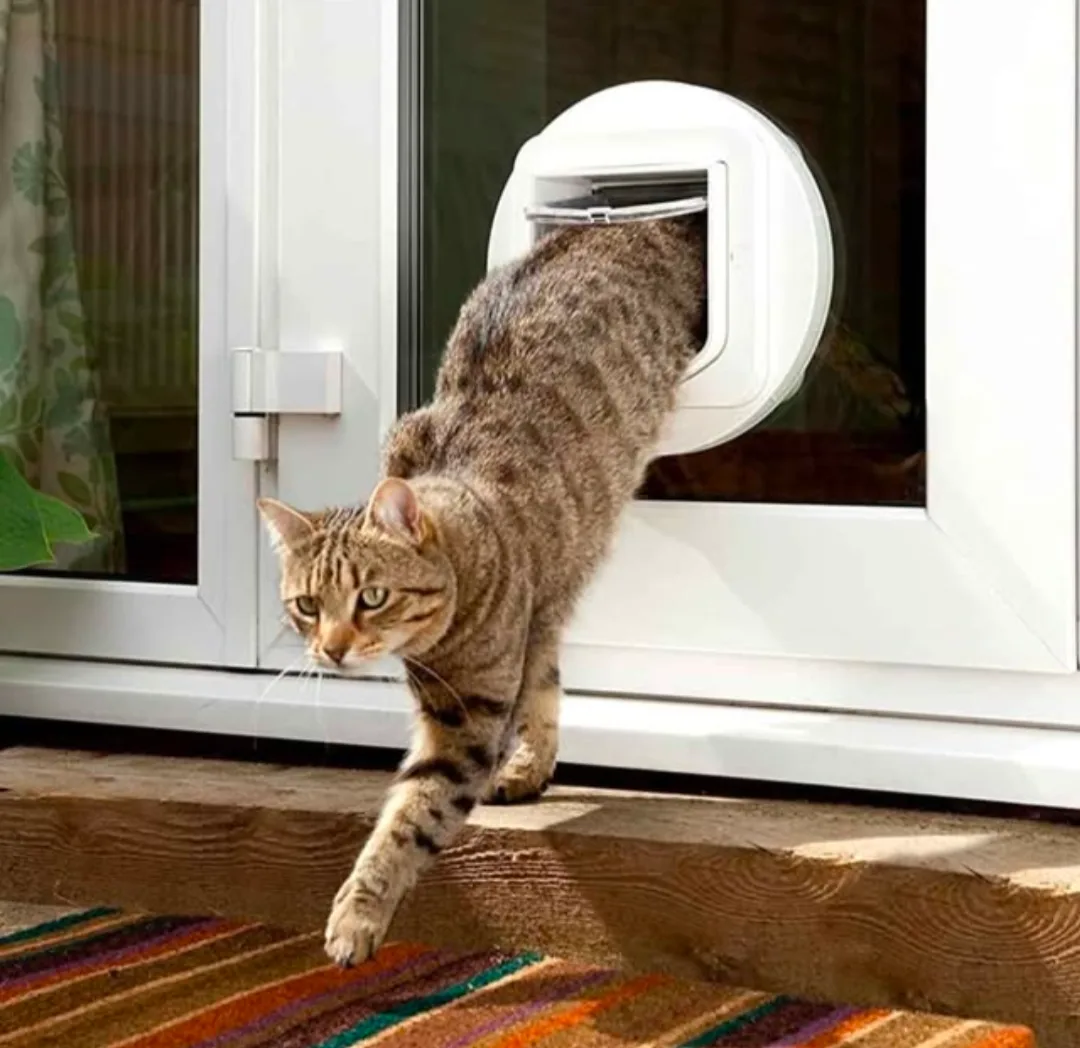 SureFlap Microchip Cat Door image indicator(4)