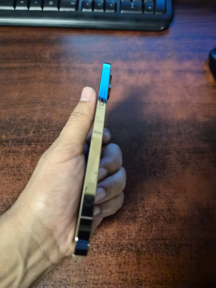 iPhone 12 Pro Max 256GB - Gold - photo 5