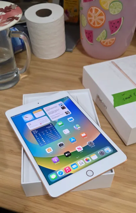Apple iPad mini 5 thumbnail