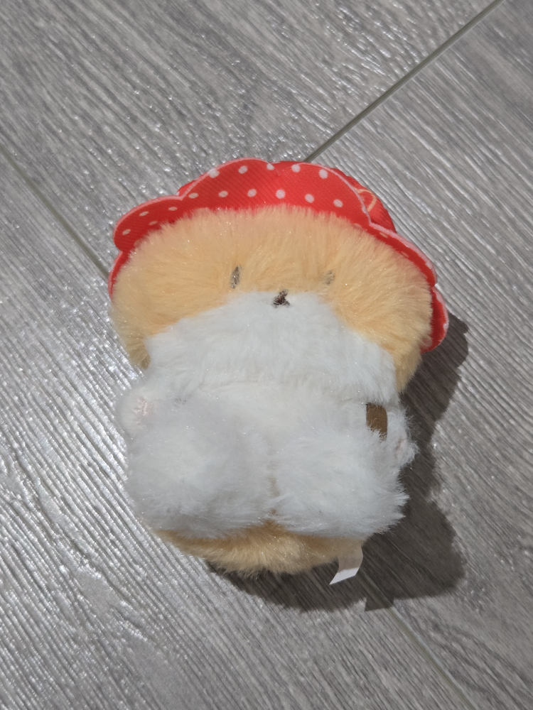 K-pop Baekhyun Teolaegi (no box) - photo 2