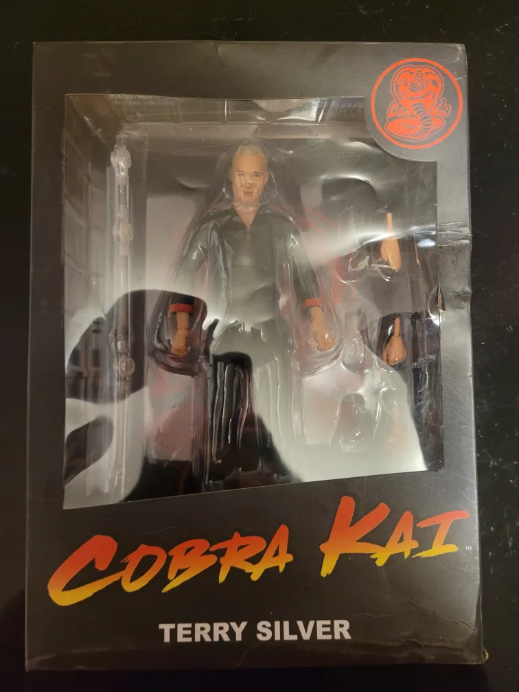 Cobra Kai Terry Silver Action Figure Doll image indicator(2)