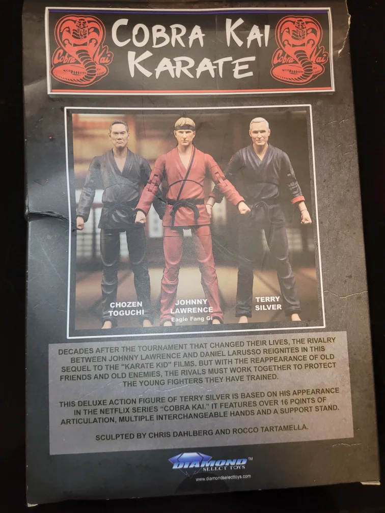 Cobra Kai Terry Silver Action Figure Doll image indicator(5)