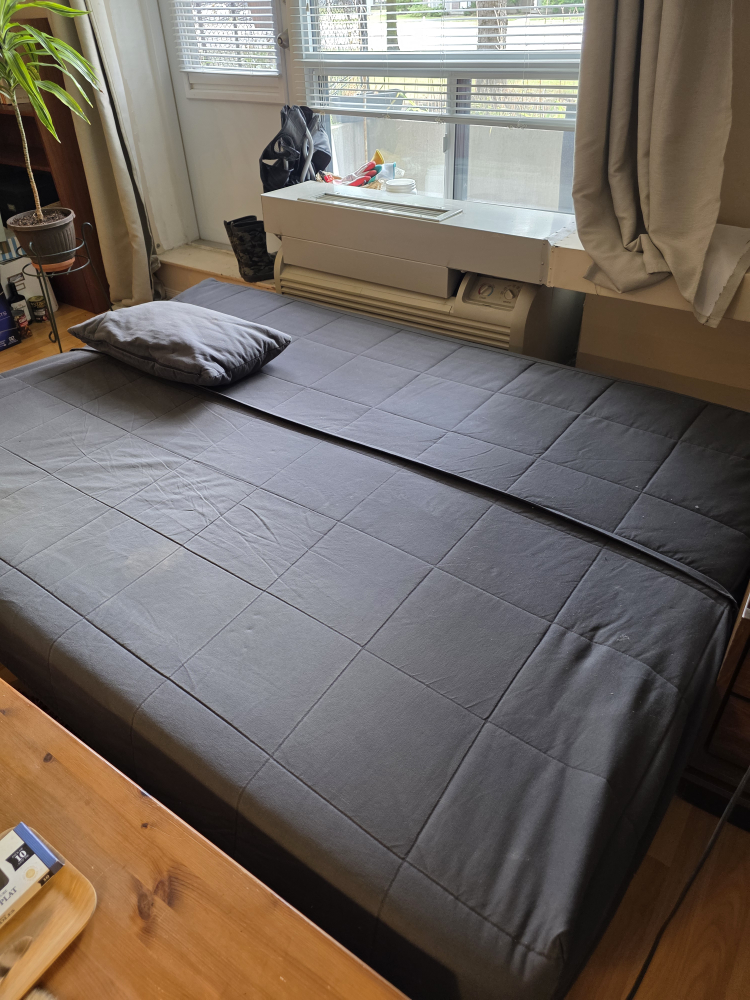 Ikea Futon Sofabed - Converts to Bed - photo 2