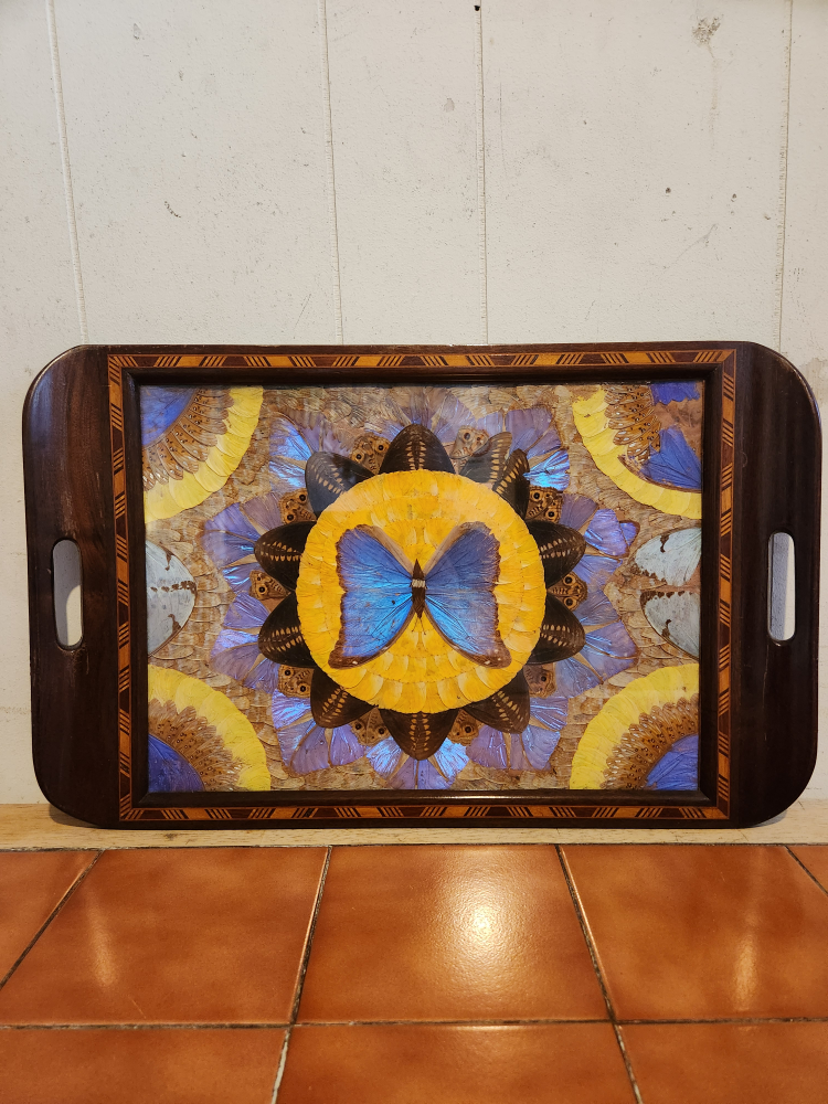Butterfly Wing Tray