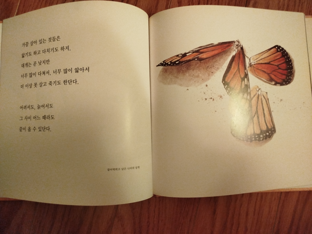 살아 있는 모든 것은 (Everything Alive) - photo 2