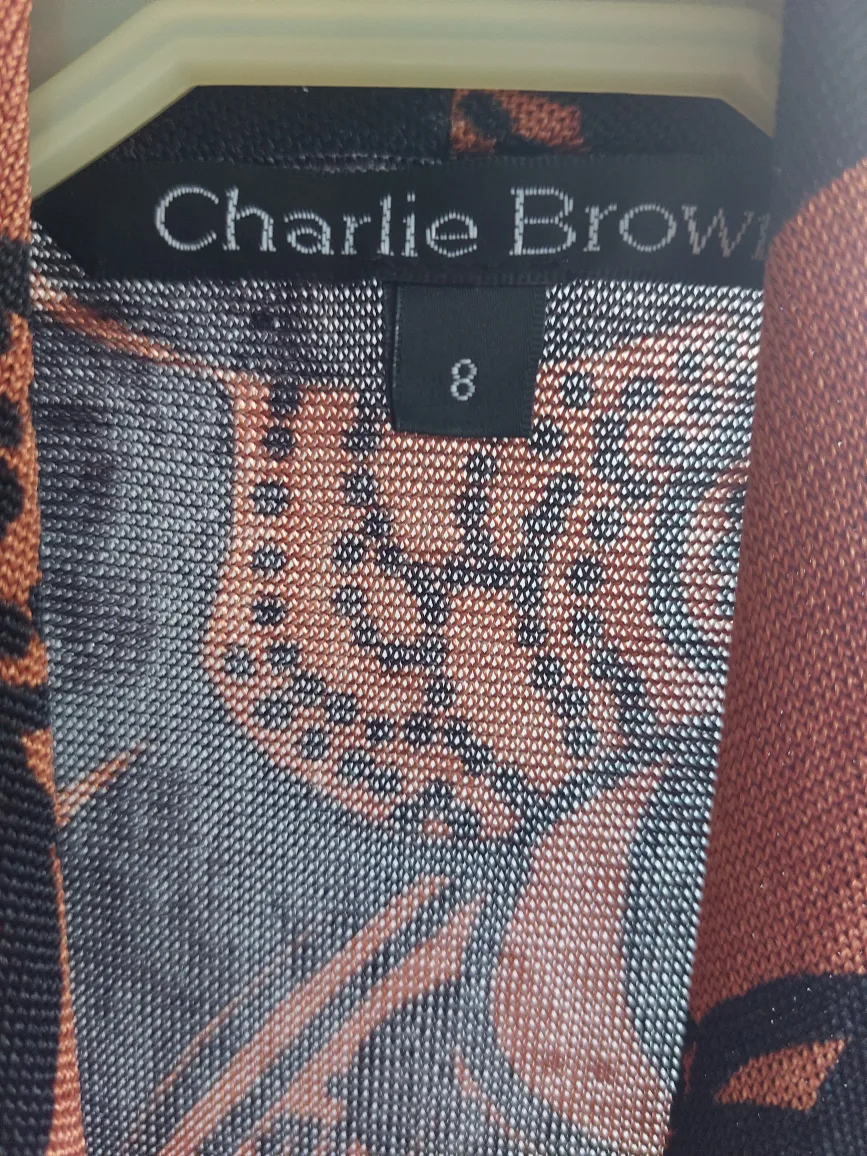 Last chance- Charlie Brown Faux Wrap Dress - Size 8 image indicator(3)