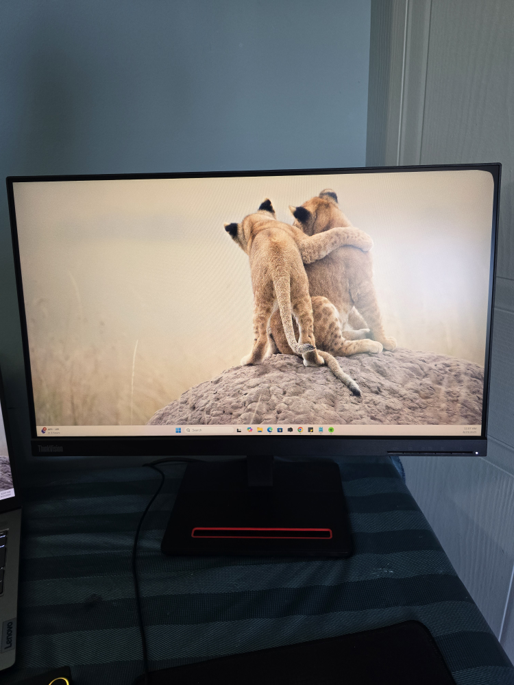 Lenovo Thinkvision Monitor | 24 Inch | 1080p
