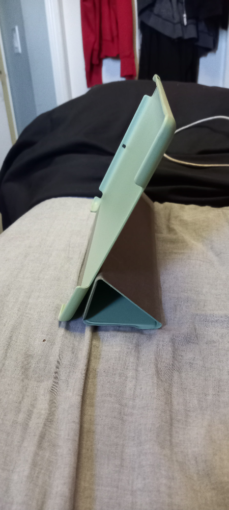 Light Green iPad Case - photo 4