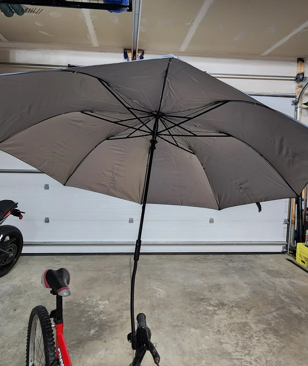 Camera Umbrella (not soft box)