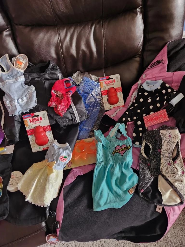 Dog Items Bundle: Clothes, Grooming, Toys image indicator(9)