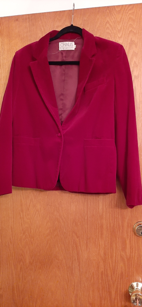 Vintage Chaus Velvet Blazer - Size 14 - photo 2