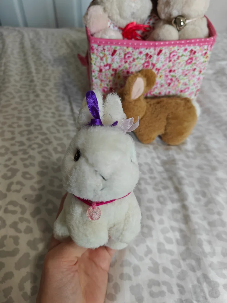 Bunny Plush Toy Collection 💖🧡 image indicator(8)