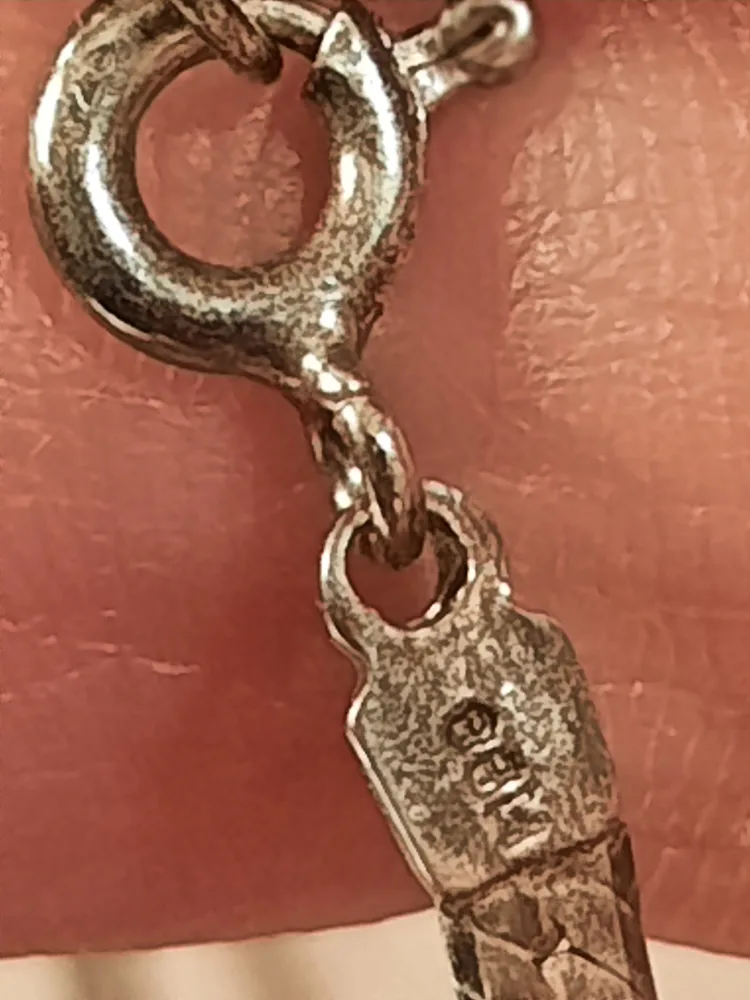 Sterling Silver Necklace with Zebra Stone Pendant image indicator(4)