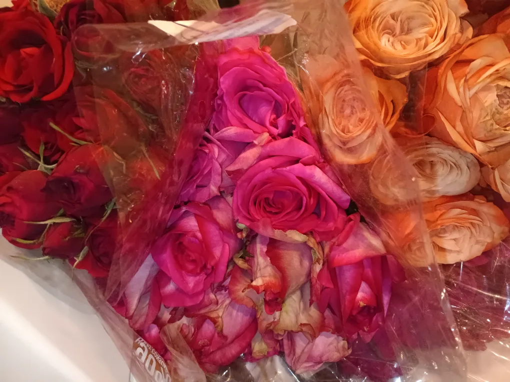 Assortment of roses thumbnail