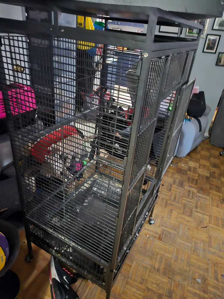 XLarge Bird Cage - Black image indicator(4)