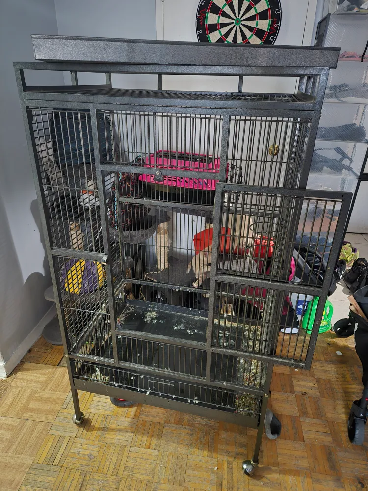 XLarge Bird Cage - Black image indicator(5)