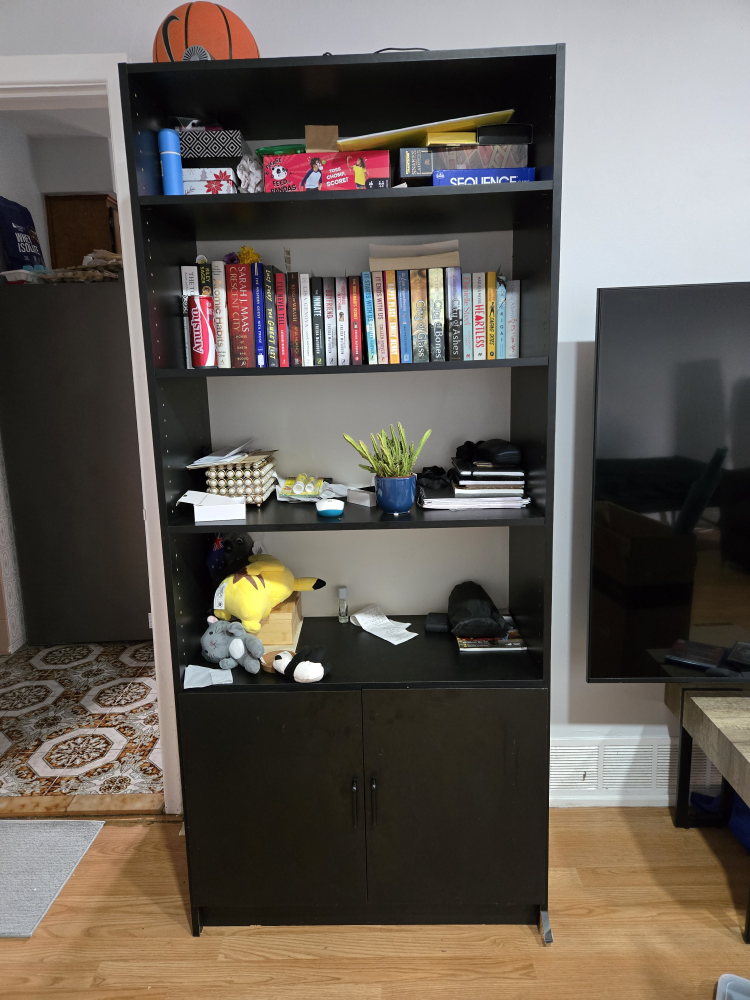 Ikea Billy Black Bookcase with Bottom Cabinet