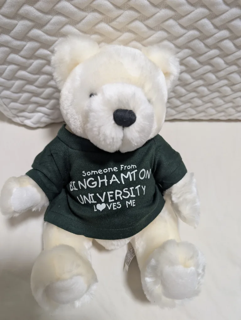 Vintage Binghamton University Terry Bear w/ Sweatshirt Plush thumbnail