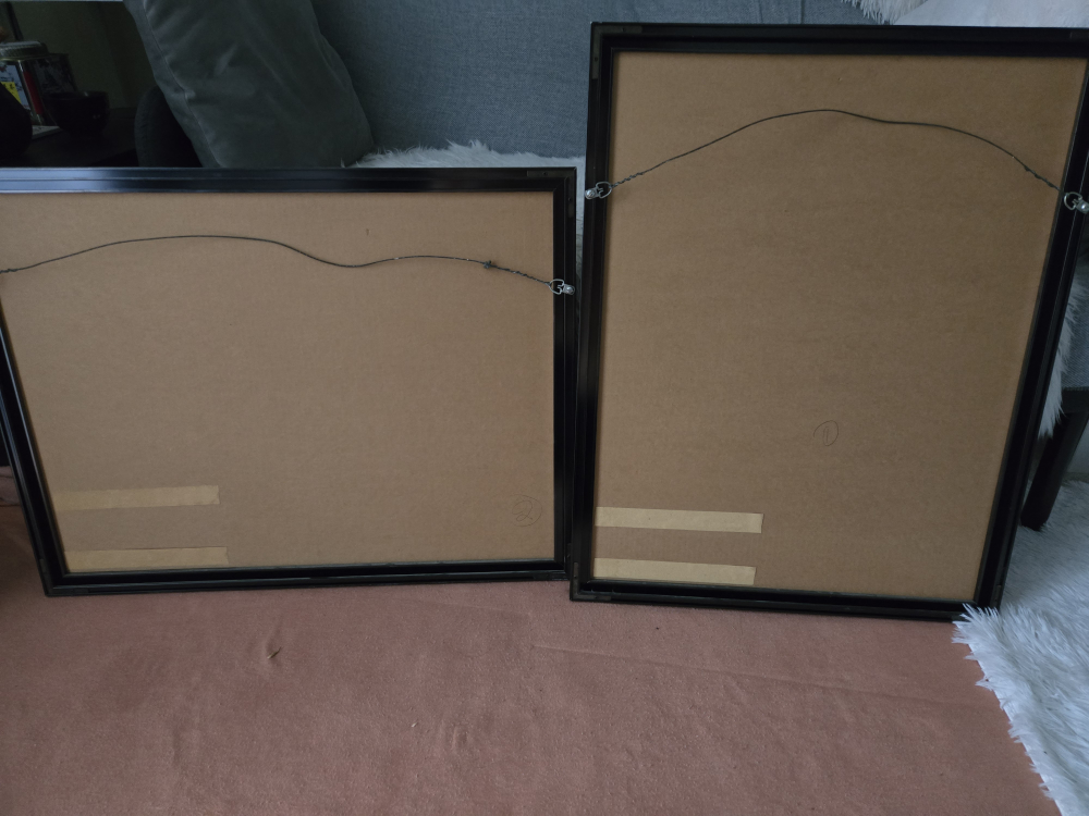 Framed Art Prints - Two Matching Pieces - photo 3