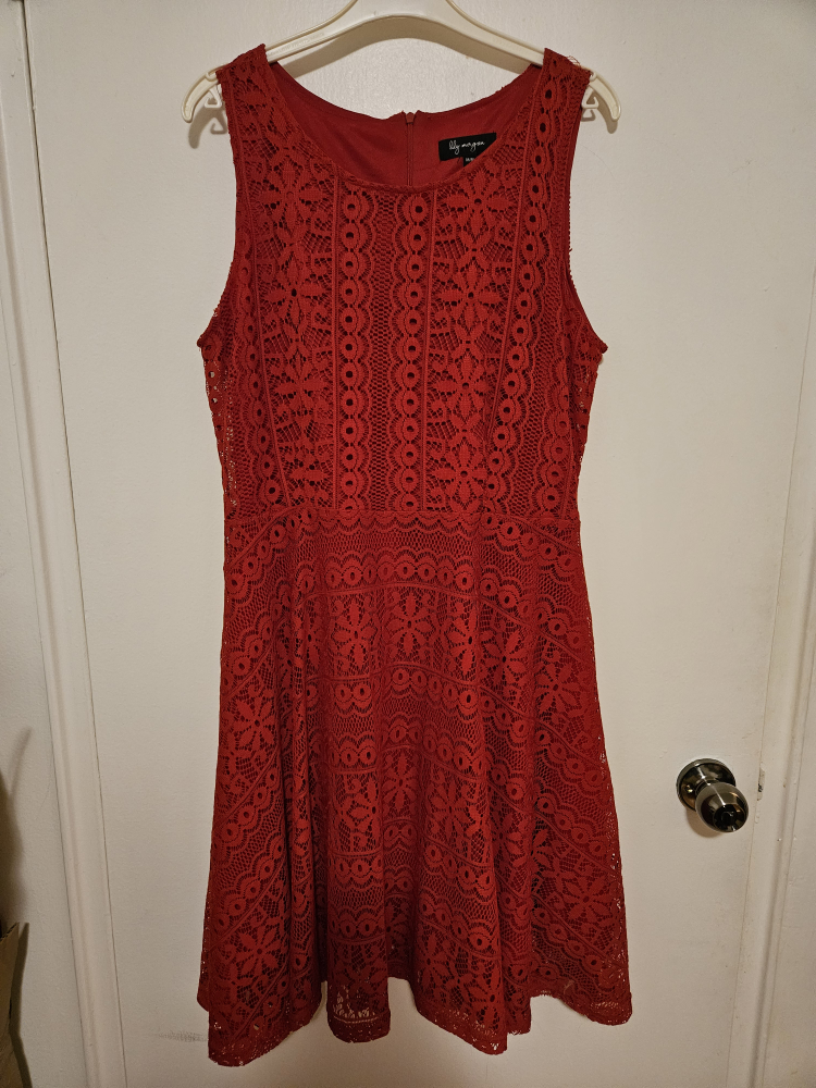 Lily Morgan Red Lace Dress Size M/M