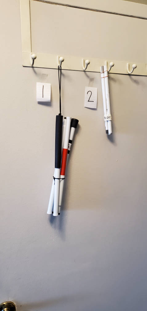 Walking Sticks and White Cane - photo 4