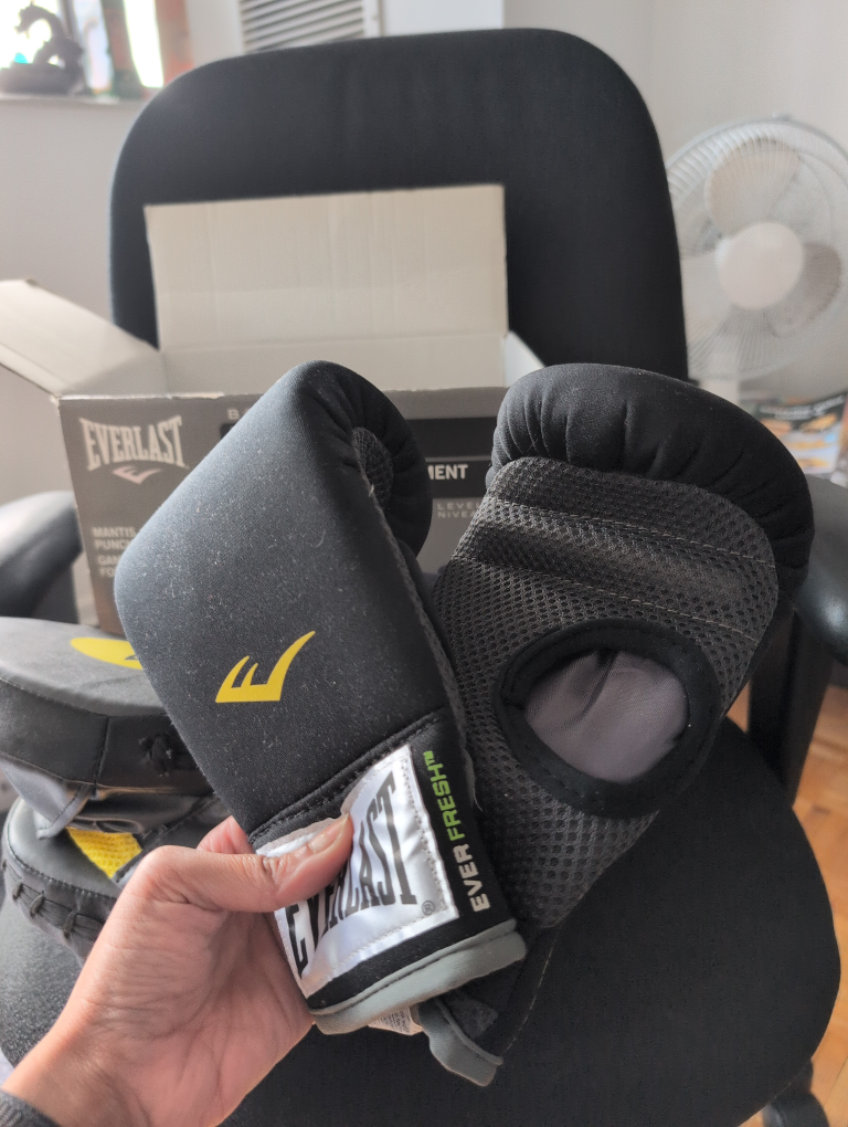 Everlast Boxing Partner Training Kit - photo 3
