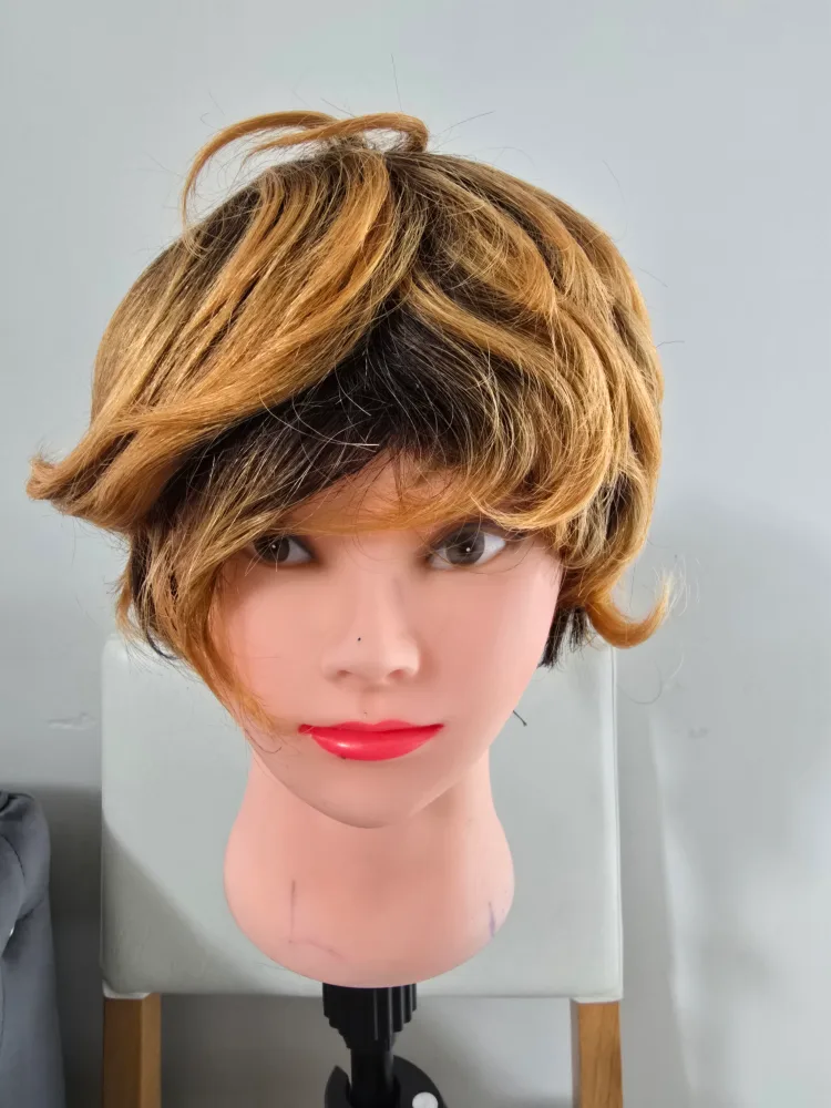 Blonde & Black Layered Wig thumbnail