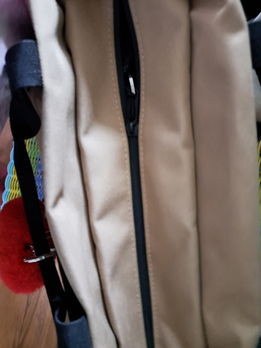 Roots Beige & Black Backpack