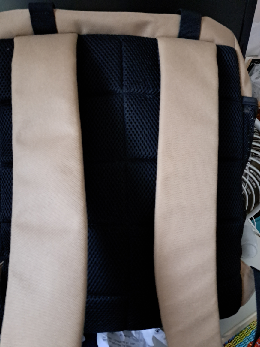Roots Beige & Black Backpack - photo 4