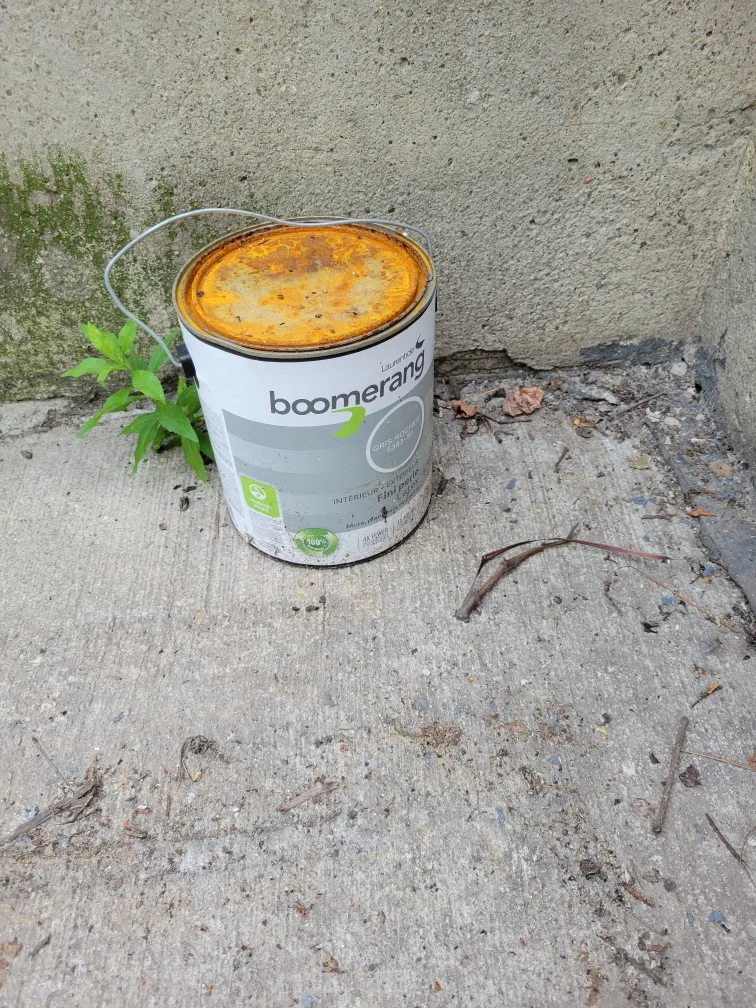 Boomerang Stone Grey Pearl Finish Paint 3.78L image indicator(3)