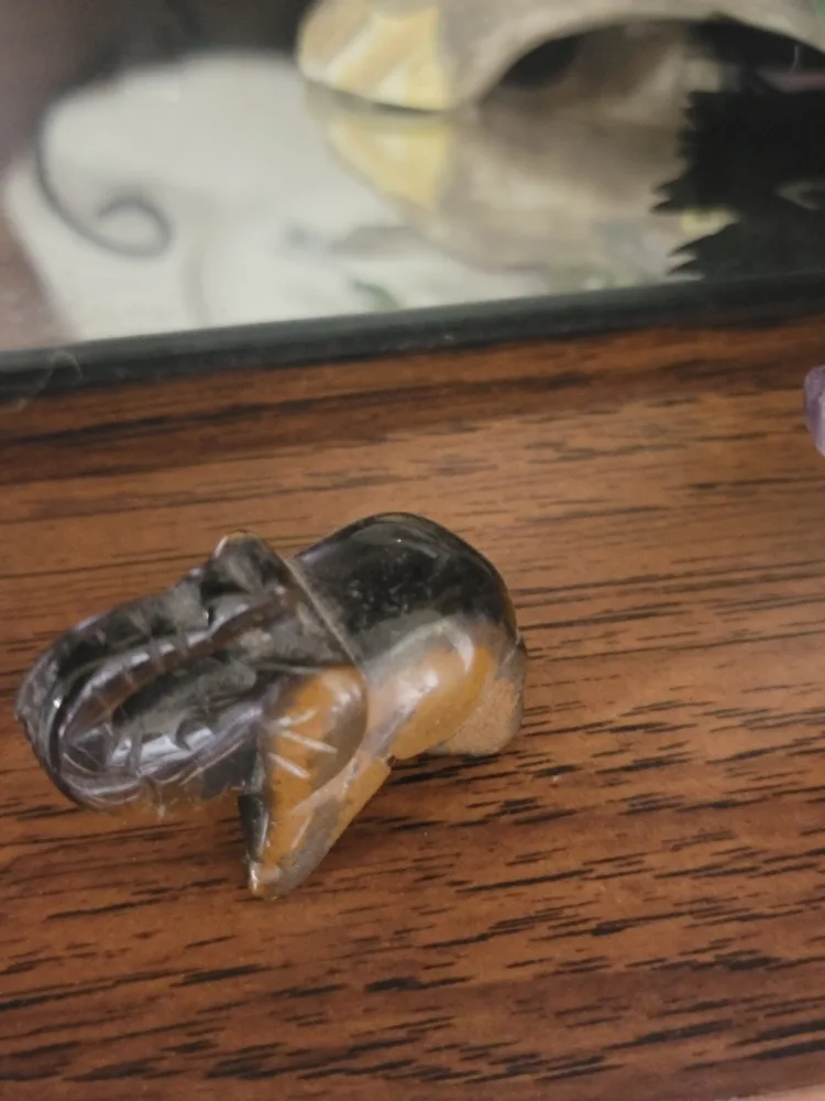 Mini Tiger Eye Stone Elephant thumbnail