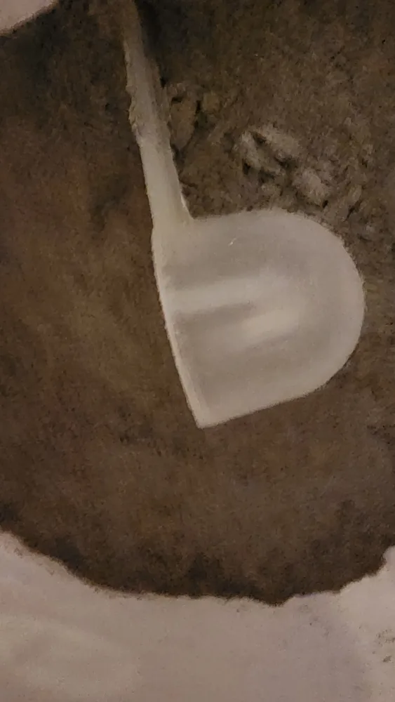 🧡  Omega Alpha Probiotic 8 Plus for Pets image indicator(5)