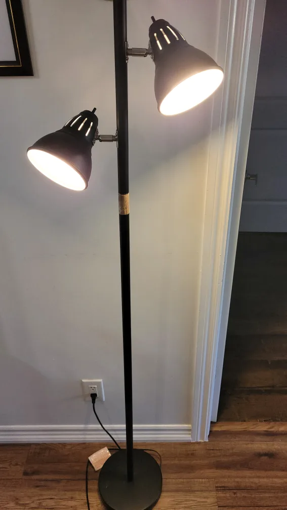Black Floor Lamp with Two Adjustable Lights thumbnail