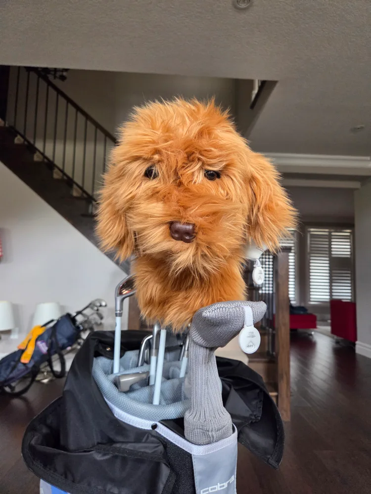 Doodle Driver Golf Headcover image indicator(3)