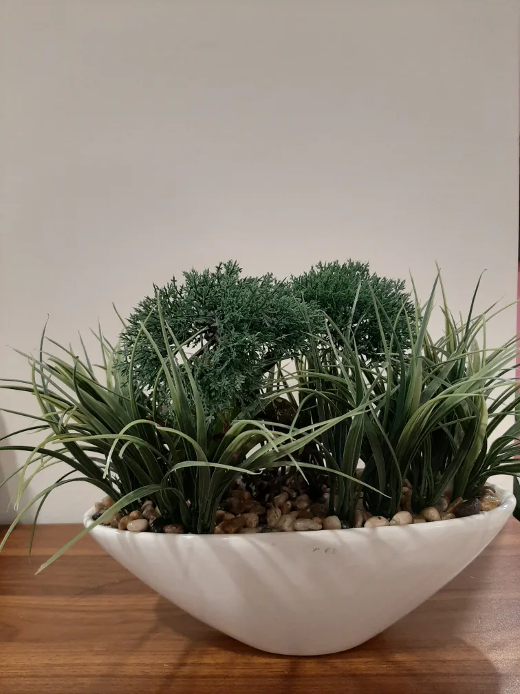 ,Assorted greens (fake) in white ceramic pots thumbnail