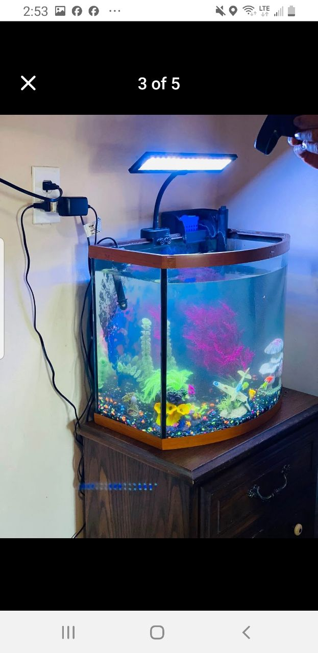 18 Gallons Aquarium