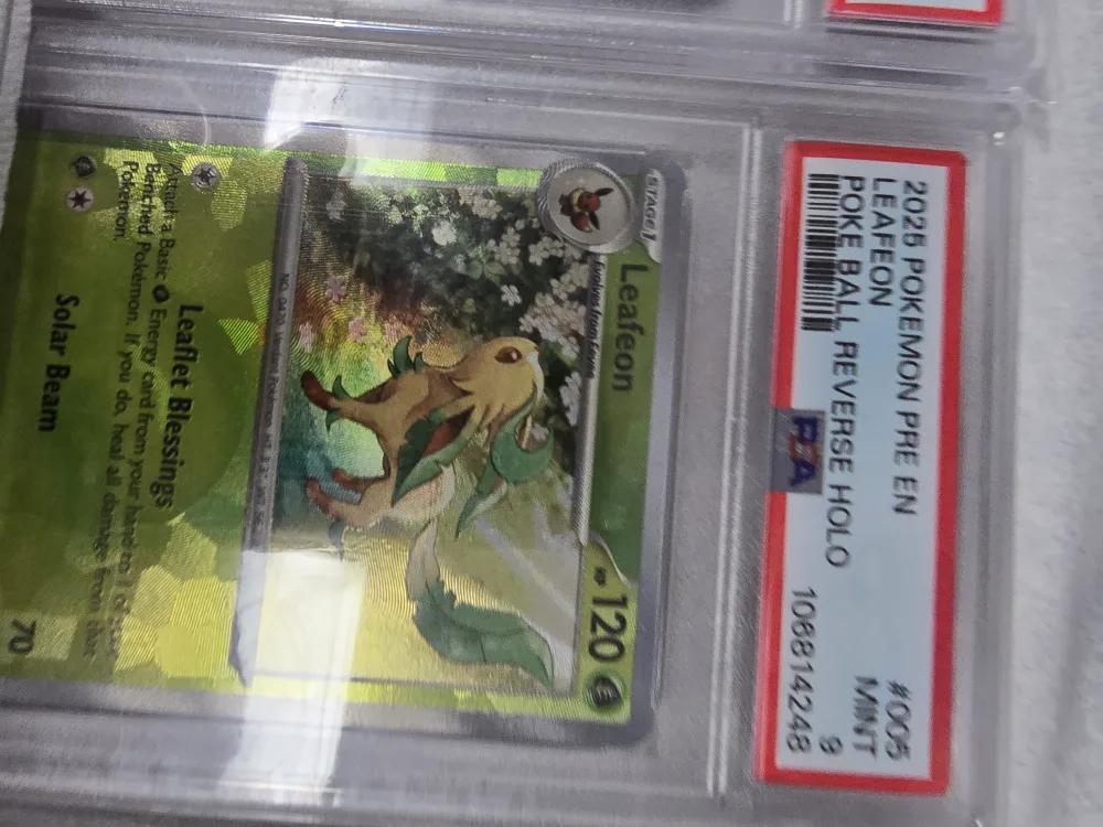PSA Graded Pokemon Cards - Mint Condition image indicator(5)
