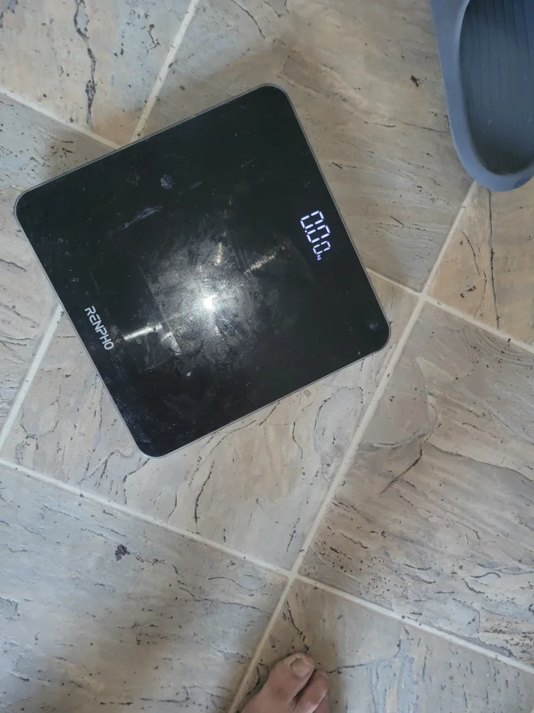 RENPHO Digital Weight Scale thumbnail