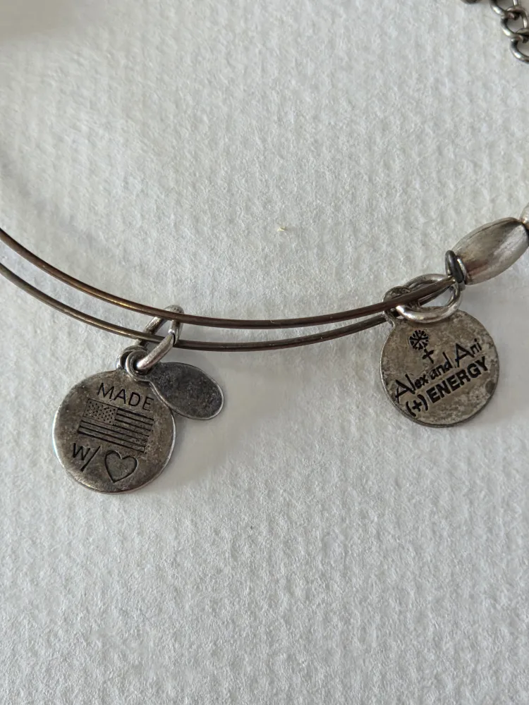 Alex and Ani Silver Bangle Bracelet image indicator(2)