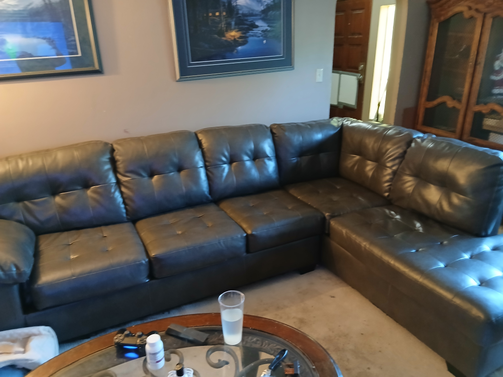free Leather sectional sofa