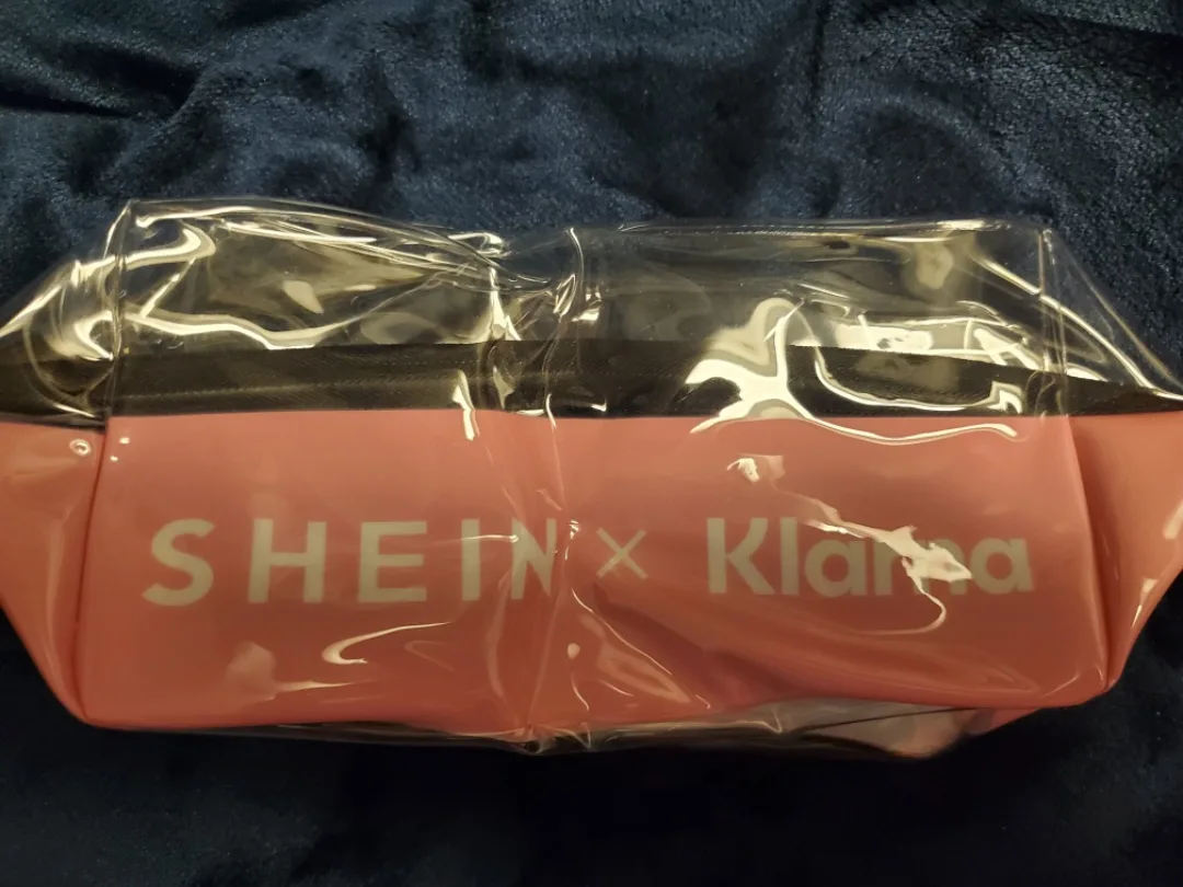 SHEIN x Klarna Puppy plastic small pouch thumbnail